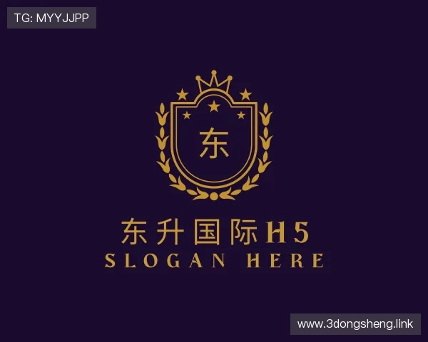 介绍东升国际h5